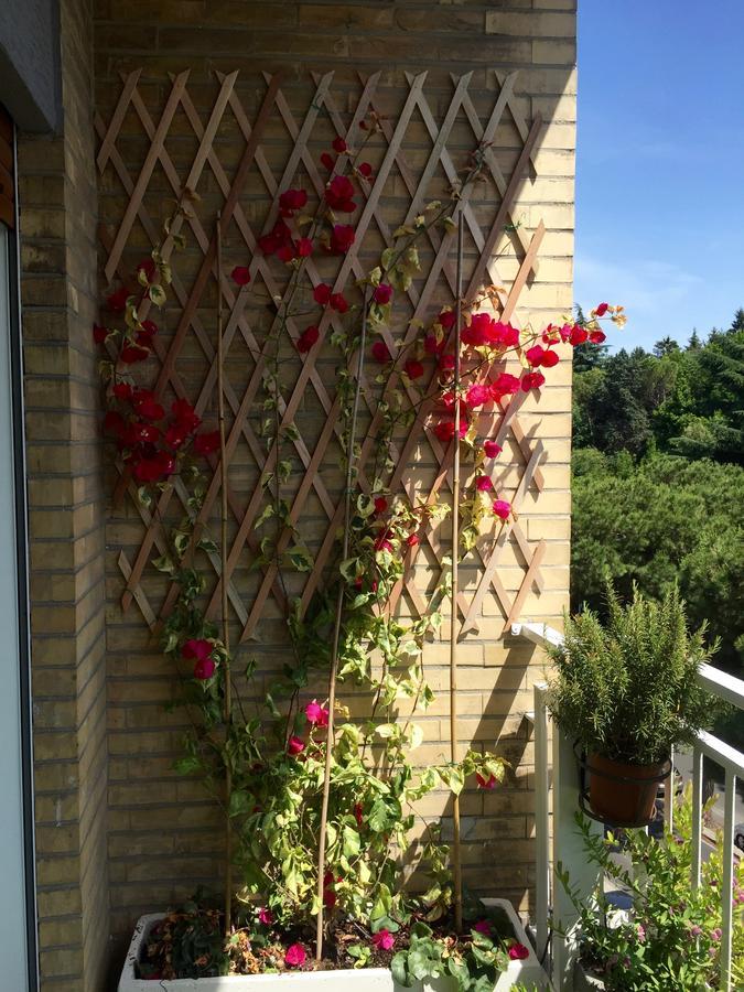 Happy Holiday In Rome B&B Ngoại thất bức ảnh